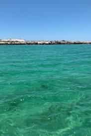 Half Day Trip to Shell Island with Jessica Shoals Fishing Charters