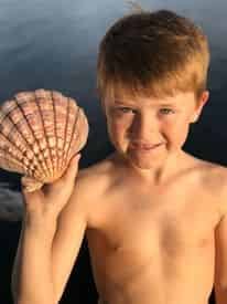 Shell Island Eco Sea-fari Tour & Dolphin Encounter
