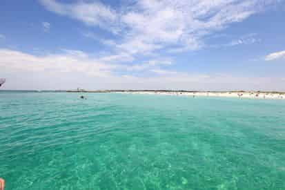 Shell Island Eco Sea-fari Tour & Dolphin Encounter