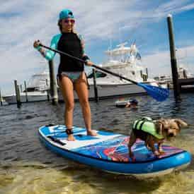 4 Hour Stand Up Paddle Board Rental with WET Inc.