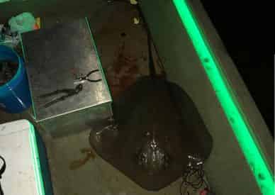Northwest Florida Nighttime Bowfishing Charter