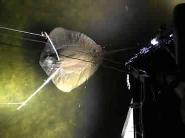 Northwest Florida Nighttime Bowfishing Charter