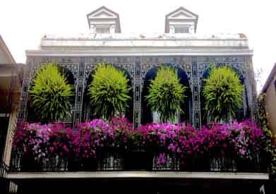 Big Easy Strolls: A French Quarter Tour For Matures