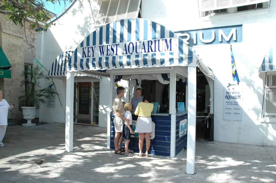 The-Key-West-Aquarium-Admission-Ticket