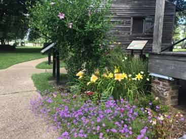 San Francisco Plantation Admission & Guided Tour
