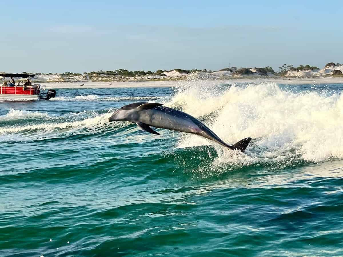 Panama-City-Beach-Snorkel-Trip-Aboard-The-Footloose-Catamaran