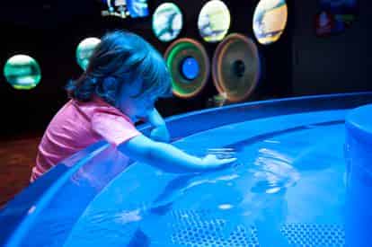 Ripley's Aquarium of Myrtle Beach