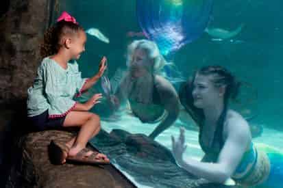 Ripley's Aquarium of Myrtle Beach