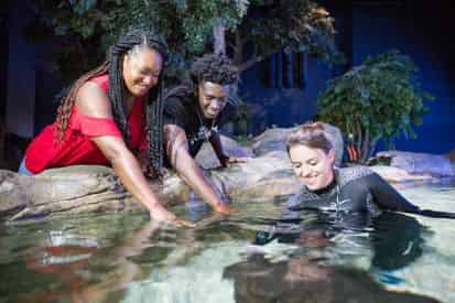 Ripley's Aquarium of Myrtle Beach