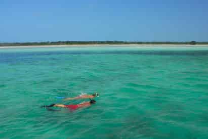 Morning Reef Snorkel Tour