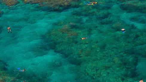 Morning Reef Snorkel Tour