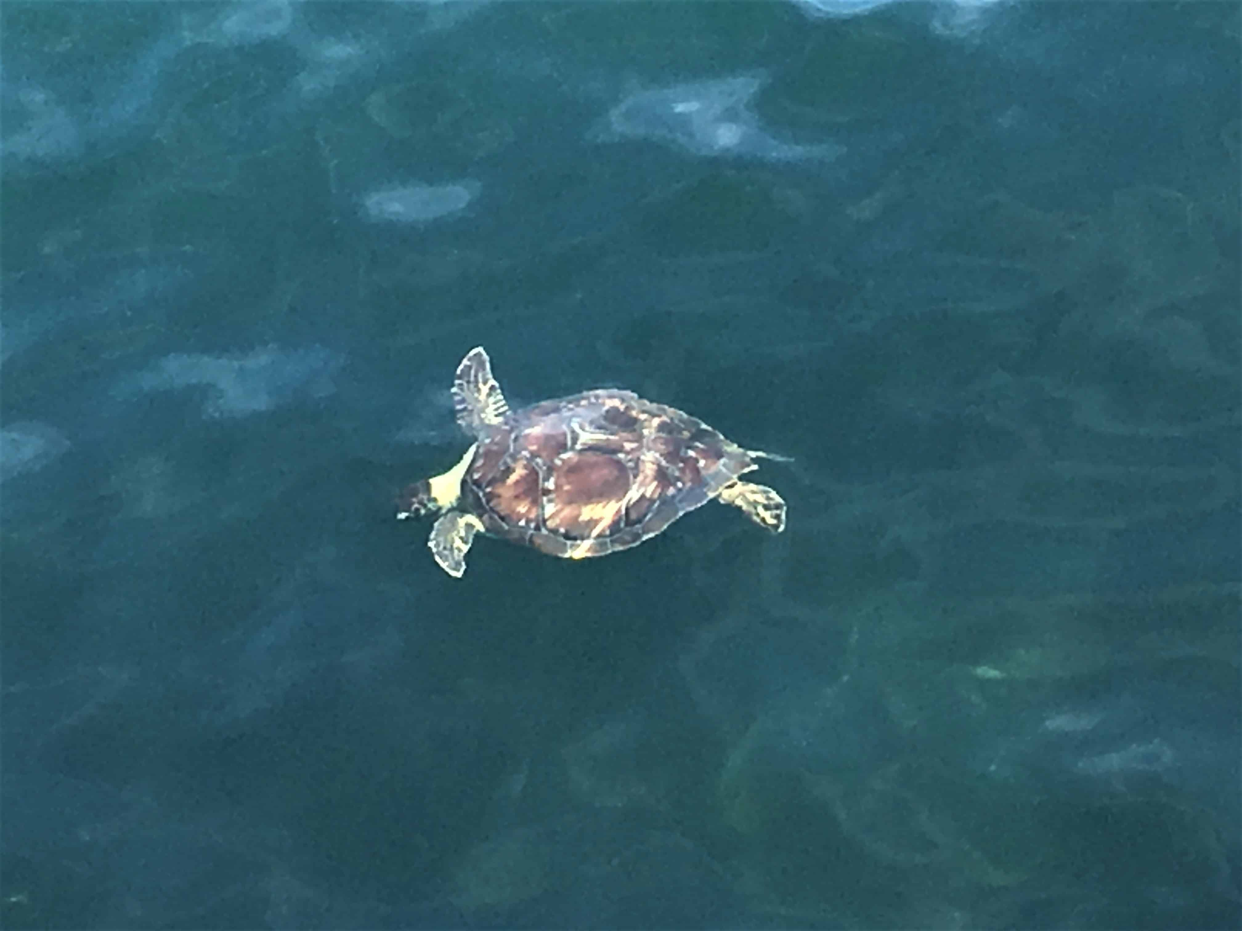 Small-Group-Crab-Island-Charter-Aboard-Just-Right