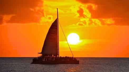 Commotion on the Ocean Sunset Cruise