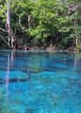 Cold Spring Eco Adventure