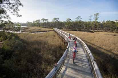 Grayton Beach Electric Bike Tour
