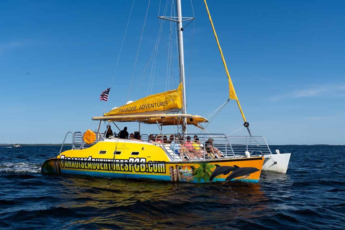 Sunset-Dolphin-Sail-Aboard-The-Footloose-Catamaran