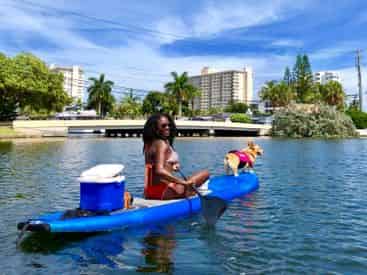 Sup Pup Fort Lauderdale Paddleboard Tour