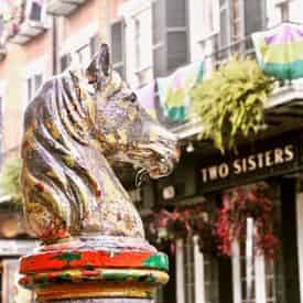 Highlights of New Orleans Private Driving Tour