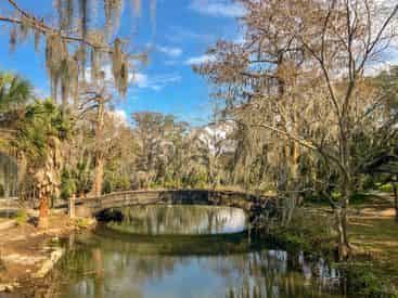 Highlights of New Orleans Private Driving Tour