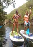 Mangroves and Manatees 2 Hour Eco-Tour