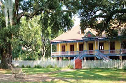Oak Alley Antebellum Plantation & Pontoon Swamp Boat Tour with Transportation