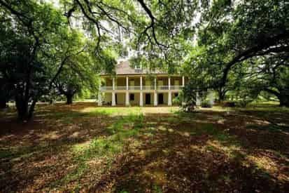 Oak Alley Antebellum Plantation & Pontoon Swamp Boat Tour with Transportation