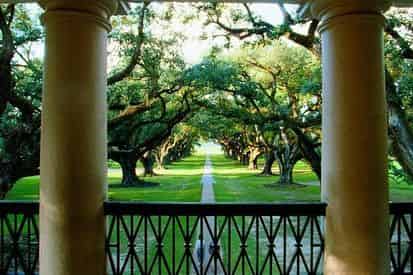 Oak Alley Antebellum Plantation & Pontoon Swamp Boat Tour with Transportation