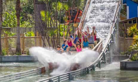Combo Admission to ZooTampa at Lowry Park & The Florida Aquarium
