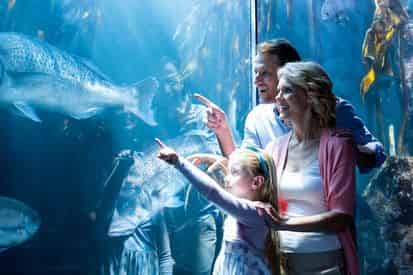 Combo Admission to ZooTampa at Lowry Park & The Florida Aquarium