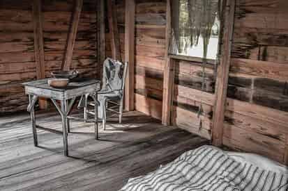 Laura Creole Plantation and Airboat Swamp Tour