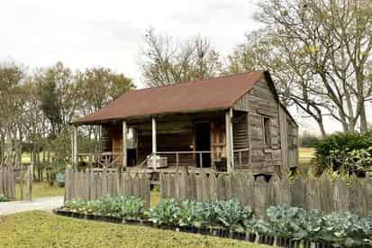 Laura Creole Plantation and Airboat Swamp Tour
