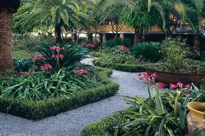Laura Creole Plantation and Airboat Swamp Tour