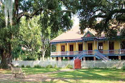 Laura Creole Plantation and Airboat Swamp Tour