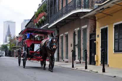 Carriage Rides of the French Quarter & Creole Neighborhoods