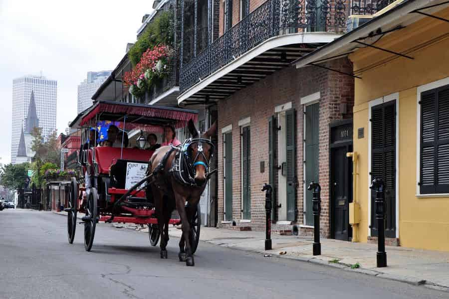 Carriage-Rides-of-the-French-Quarter-and-Creole-Neighborhoods