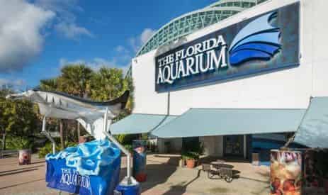 The Florida Aquarium