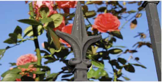 Destined To Be Different: Garden District Historical Tour