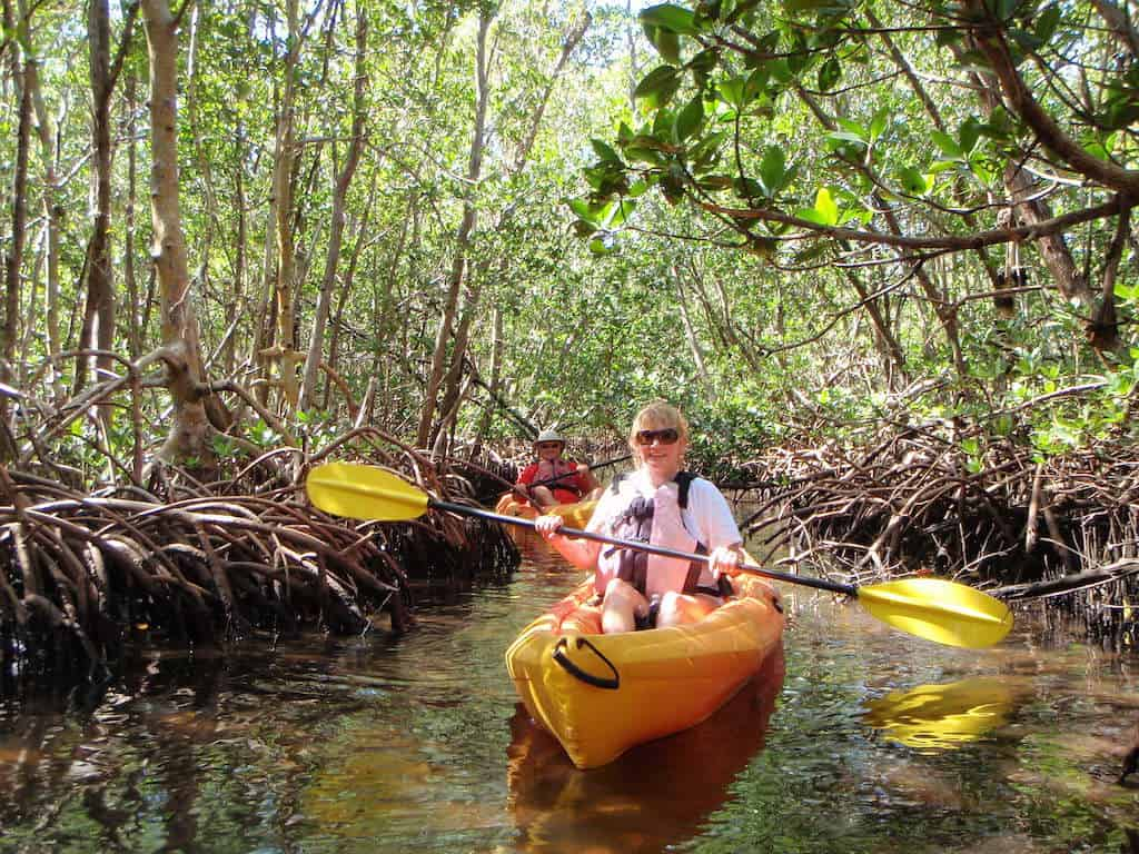 Guided-Mangroves-Kayak-Eco-Tour