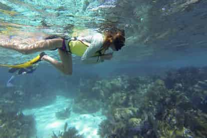 Clear Kayak and Snorkel Excursion