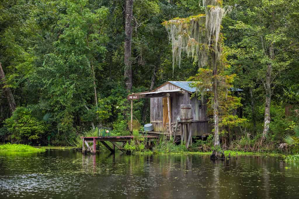 Jean-Lafitte-Swamp-and-Bayou-Tour-with-Optional-Transportation