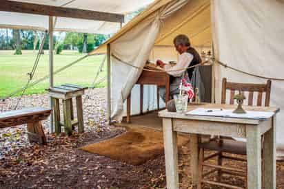 Oak Alley Plantation & Airboat Combo Tour with Transportation from New Orleans