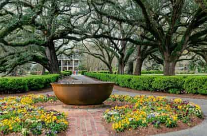 Oak Alley Plantation & Airboat Combo Tour with Transportation from New Orleans