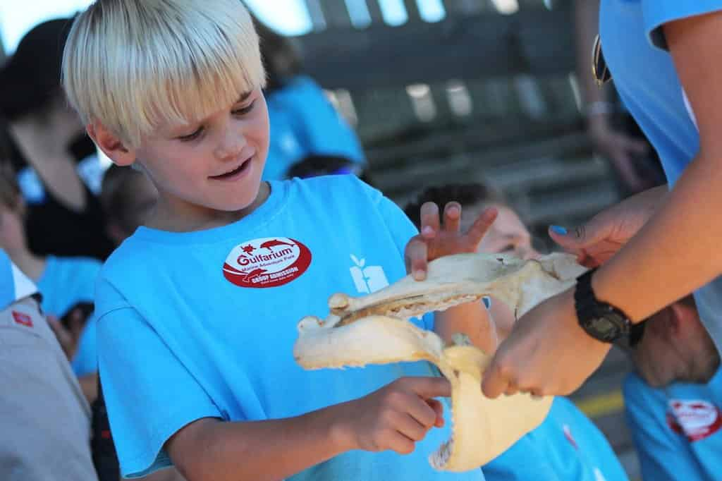 Home - Gulfarium Marine Adventure Park