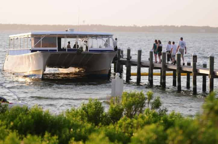 Pensacola-Beach-Sunset-Dolphin-Cruise