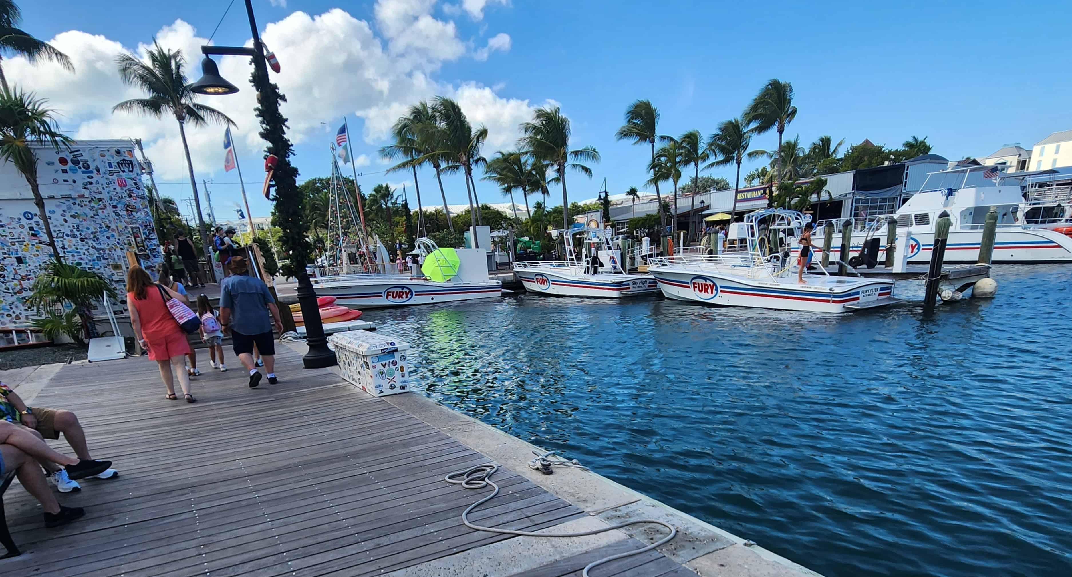 Morning-Reef-Snorkel-and-Sail-by-Sebago-Watersports