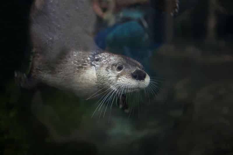 The-Florida-Aquarium