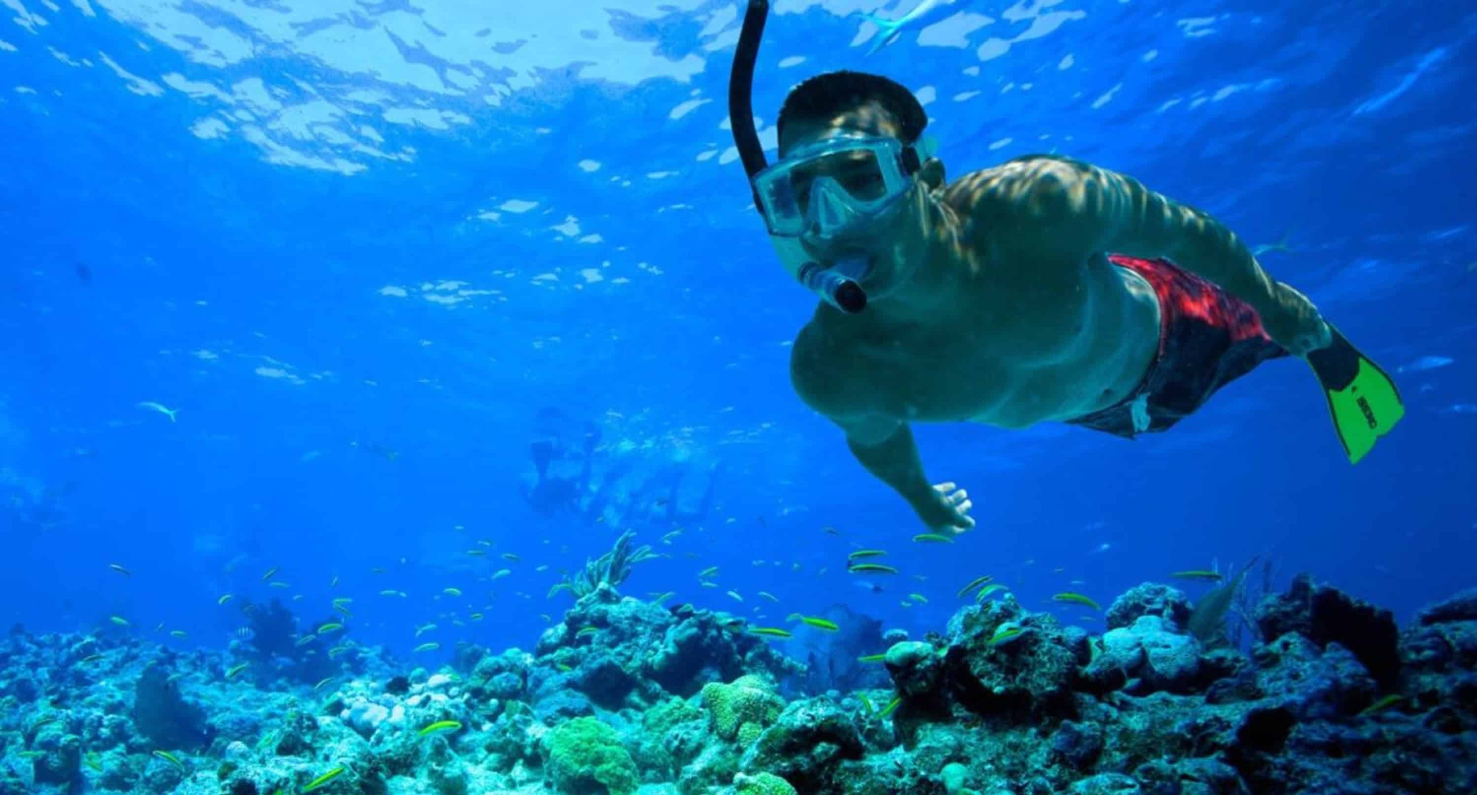 Reef-Dive-or-Snorkel-Excursion-with-Lost-Reef-Adventures