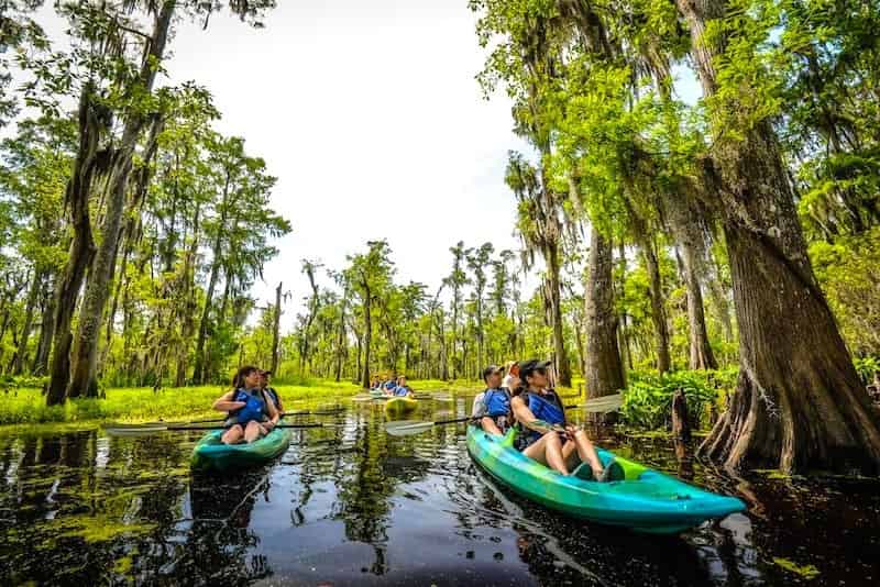 Manchac-Magic-Kayak-Swamp-Tour-by-Wild-Louisiana-Tours