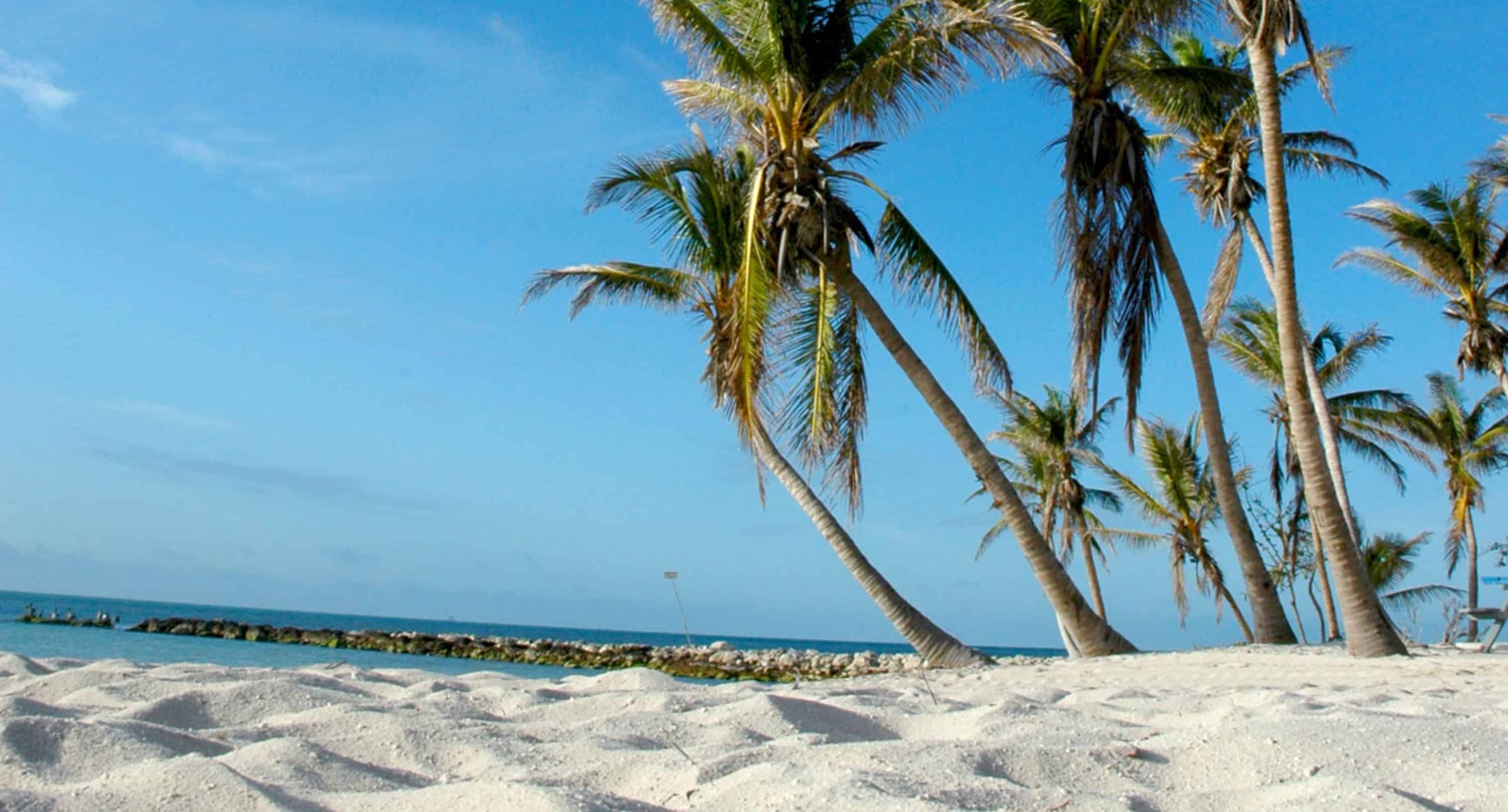 Key-West-Day-Trip-and-Snorkeling-Tour-From-Miami-with-Gray-Line-Miami
