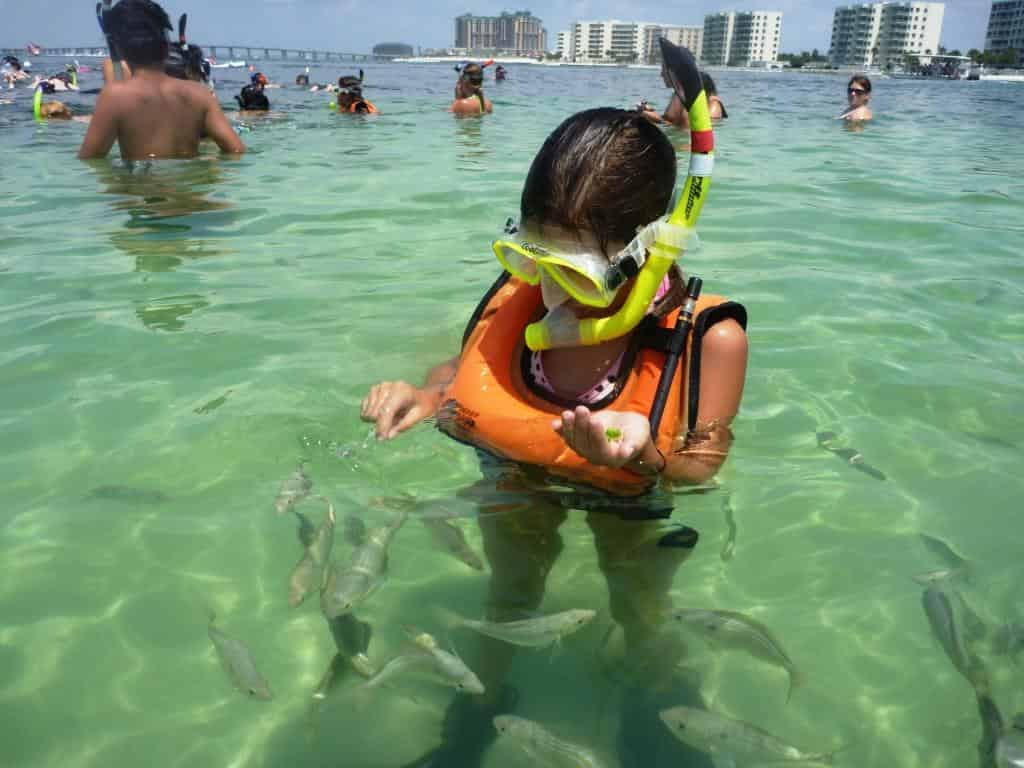 Destin-Snorkeling-and-Shelling-Excursion-Aboard-Harbor-Lady